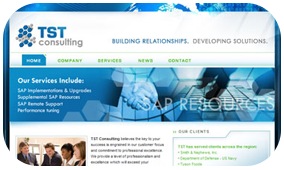 TST Consulting Web Site <a href='http://www.tstconsultingllc.com' target='_blank'> Visit Site<a> 